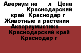 Авариум на 450 л › Цена ­ 20 000 - Краснодарский край, Краснодар г. Животные и растения » Аквариумистика   . Краснодарский край,Краснодар г.